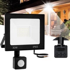 Halogenų vadovaujama motion sensor 30W RSL007-30NS kaina ir informacija | Įmontuojami šviestuvai, LED panelės | pigu.lt