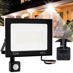 Halogenų vadovaujama motion sensor 50W RSL008-50NS kaina ir informacija | Įmontuojami šviestuvai, LED panelės | pigu.lt