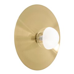 LED SIENINĖ LAMPA APP1419-W BLACK GOLD цена и информация | Настенные светильники | pigu.lt