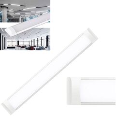 LED skydelis 60cm 18W kaina ir informacija | Įmontuojami šviestuvai, LED panelės | pigu.lt