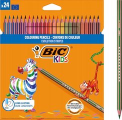 BIC школьное приданое для 1-3 классов: мелки, маркеры, карандаши, кубики, клей + подарок цена и информация | Принадлежности для рисования, лепки | pigu.lt