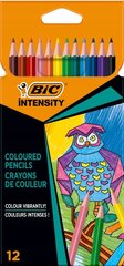 BIC школьное приданое для 5-8 классов: мелки, тетради, карандаши + подарок цена и информация | Принадлежности для рисования, лепки | pigu.lt