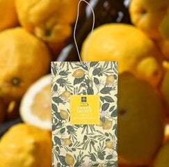 Aromatiniai paketėliai Sachet, 4 vnt. kaina ir informacija | Namų kvapai | pigu.lt