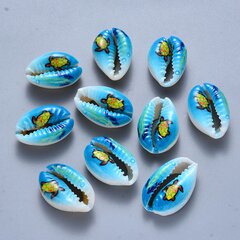 Cowrie Jūros Kriauklės, Be Skylės, 17.5-21.5x12.5x5.5-7.5mm, Spalva: Mėlyna, 10 vnt. kaina ir informacija | Papuošalų gamybai, vėrimui | pigu.lt