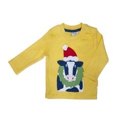 Хлопковая футболка Frugi с длинными рукавами (60-68 см, 3-6 месяцев) "Little Discovery Applique Top" OUTLET TTA911BMO0306-izm-62 цена и информация | Футболка для малышки фуксия | pigu.lt