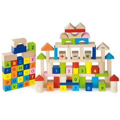 Medinės kaladėlės Viga Toys L-50288, 100 d. kaina ir informacija | Lavinamieji žaislai | pigu.lt