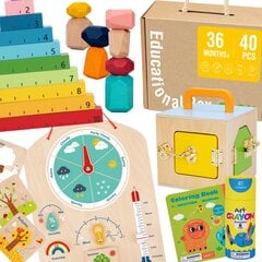 Mokomoji montessori dėlionė Tooky Toy 6in1 L-TK755 kaina ir informacija | Lavinamieji žaislai | pigu.lt