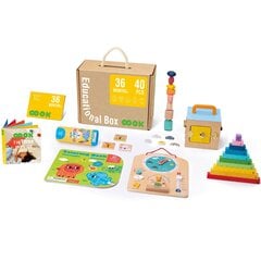 Mokomoji montessori dėlionė Tooky Toy 6in1 L-TK755 kaina ir informacija | Lavinamieji žaislai | pigu.lt