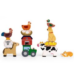 Mediniai balansuojantys gyvūnai Viga Toys L-44706, 12 d. kaina ir informacija | Lavinamieji žaislai | pigu.lt