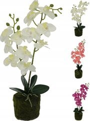 Dirbtinė orchidėja dekoratyvinė gėlė 40 cm kaina ir informacija | Interjero detalės | pigu.lt