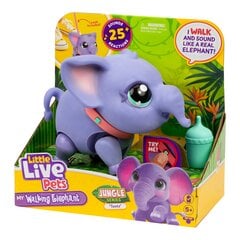 LITTLE LIVE PETS Interaktyvi drambliukė kaina ir informacija | Smėlio dėžės, smėlis | pigu.lt