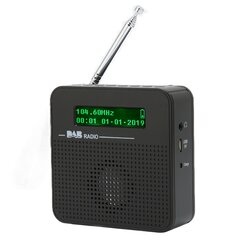 Skaitmeninis radijas Nešiojamas Bluetooth FM radijas su DAB/DAB, skirtas vaikščioti lauke kaina ir informacija | Ausinės | pigu.lt