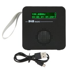 Цифровое радио Портативное Bluetooth FM-радио с DAB/DAB для прогулок на свежем воздухе цена и информация | Наушники | pigu.lt