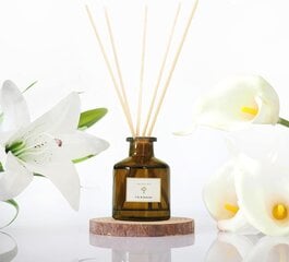 PRISTINE nendrinis difuzorius, Lily&Jasmine, 1,6 Oz kaina ir informacija | Namų kvapai | pigu.lt