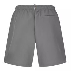 Stormfish Swim Shorts Vyriški, pilki kaina ir informacija | Maudymosi šortai, glaudės | pigu.lt