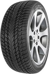 Fortuna Gowin UHP2 205/45R17 88 V XL kaina ir informacija | Žieminės padangos | pigu.lt