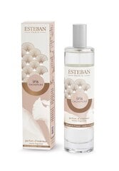 Esteban purškiklis namams Iris Cashmere, 75 ml kaina ir informacija | Namų kvapai | pigu.lt