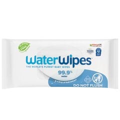 WaterWipes Bio 60vnt. (dec) цена и информация |  Одноразовые пеленки и влажные салфетки | pigu.lt