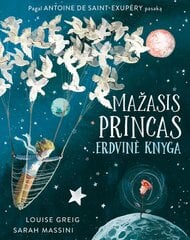 Mažasis princas. Erdvinė knyga kaina ir informacija | Lavinamosios knygos | pigu.lt