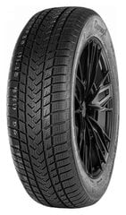 Gripmax Suregrip eWinter 225/55R17 101 V XL kaina ir informacija | Žieminės padangos | pigu.lt