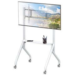 Mobilus TV stovas 65–100" iki 100 kg su reguliuojama AV lentyna цена и информация | Кронштейны и крепления для телевизоров | pigu.lt