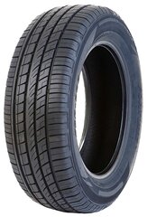 Fortune FSR303 225/60R18 100 V kaina ir informacija | Vasarinės padangos | pigu.lt