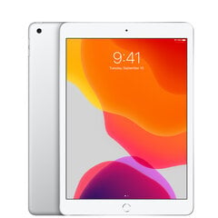 iPad 7 10.2" 128GB WiFi (Atnaujintas, būklė kaip naujas) kaina ir informacija | Planšetiniai kompiuteriai | pigu.lt