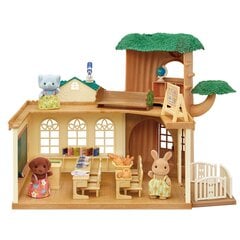 SYLVANIAN FAMILIES игровой набор Country Tree School цена и информация | Песочницы, песок | pigu.lt