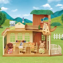 SYLVANIAN FAMILIES игровой набор Country Tree School цена и информация | Песочницы, песок | pigu.lt