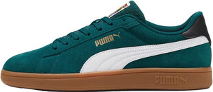 Puma Обувь для мужчин Smash 3.0 Year Of Sport Green 397484 01 397484 01/9.5 цена и информация | Кроссовки для мужчин | pigu.lt