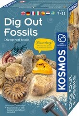 Игровой набор Dig out fossils цена и информация | Развивающие игрушки | pigu.lt