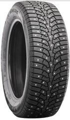 245/45R19 Nankang SW-9 dygliuota padanga 102Q XL kaina ir informacija | Auto reikmenys | pigu.lt