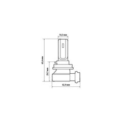 Halo Led H8 H9 H11 15W PGJ19-X 1 vnt kaina ir informacija | Automobilių lemputės | pigu.lt