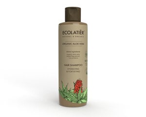 Šampūnas, Ecolatier, šviesiai rudas, 250 ml kaina ir informacija | Šampūnai | pigu.lt