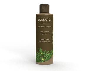 Ecolatier plaukų balzamas Volume & Growth Organic Cannabis, 250 ml kaina ir informacija | Balzamai, kondicionieriai | pigu.lt