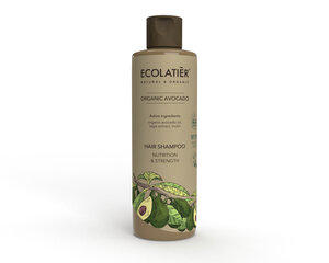 Ecolatier plaukų šampūnas Nutrition & Strength Organic Avocado, 250 ml kaina ir informacija | Šampūnai | pigu.lt