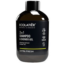 Ecolatier šampūnas ir dušo gelis 2-in-1 Extra Fresh, 400 ml kaina ir informacija | Šampūnai | pigu.lt