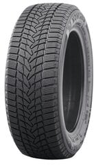 Nankang Ice Activa 2 225/60R18 104 T цена и информация | Зимняя резина | pigu.lt