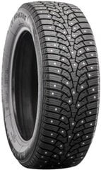 225/50R18 Nankang SW-9 dygliuota padanga 99T XL kaina ir informacija | Auto reikmenys | pigu.lt