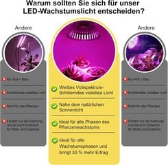 LED Grow Light Fdit 50W kaina ir informacija | Daigyklos, lempos augalams | pigu.lt