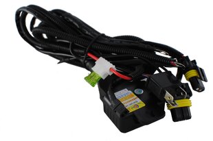 HID Relė - H4 H/L laidai, M-tech WBIXH4 kaina ir informacija | Automobilių 12V el. priedai | pigu.lt