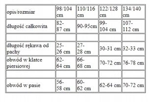 КОСТЮМ ВЕДЬМЫ НА ХЭЛЛОУИН 3 ШТ 98/104 цена и информация | Карнавальные костюмы | pigu.lt