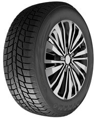 Dynamo Snow-H MWH03 225/65R16 100 T studded kaina ir informacija | Žieminės padangos | pigu.lt