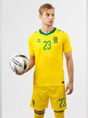 HUMMEL LITHUANIA 24/25 HOME JERSEY S/S marškinėliai 22647052415715454780761 kaina ir informacija | Sportinė apranga vyrams | pigu.lt