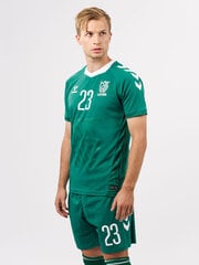 HUMMEL LITHUANIA 24/25 HOME JERSEY S/S marškinėliai 22647561315715454780969 kaina ir informacija | Sportinė apranga vyrams | pigu.lt