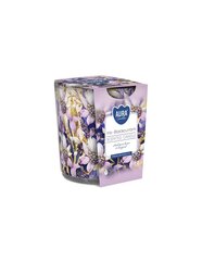 Aura kvapioji žvakė Iris Black Currant 100 g kaina ir informacija | Žvakės, Žvakidės | pigu.lt