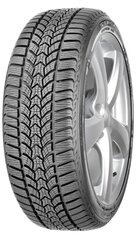 Debica Frigo HP 2 225/45R17 91 H FP цена и информация | Зимние шины | pigu.lt