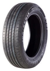 Kingboss G521 165/65R13 77 T kaina ir informacija | Vasarinės padangos | pigu.lt