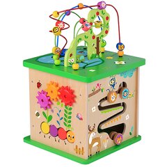 Mokomasis labirintas kubas Tooky Toy L-TK533 цена и информация | Игрушки для малышей | pigu.lt