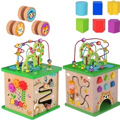 Mokomasis labirintas kubas Tooky Toy L-TK533 цена и информация | Игрушки для малышей | pigu.lt